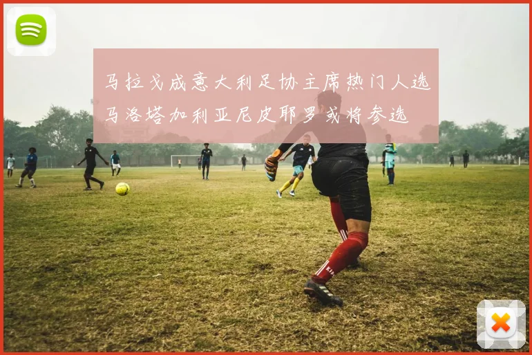 马拉戈成意大利足协主席热门人选马洛塔加利亚尼皮耶罗或将参选
