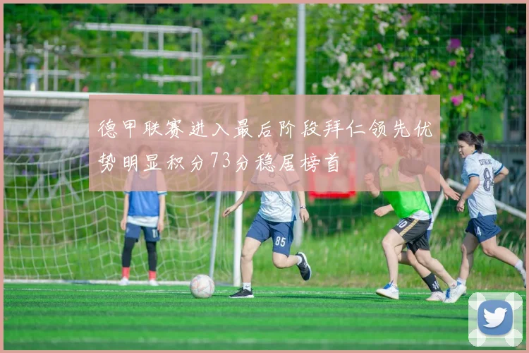德甲联赛进入最后阶段拜仁领先优势明显积分73分稳居榜首